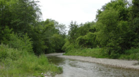 West Duffins Creek upstream
