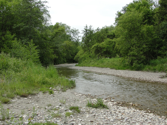 West Duffins Creek upstream