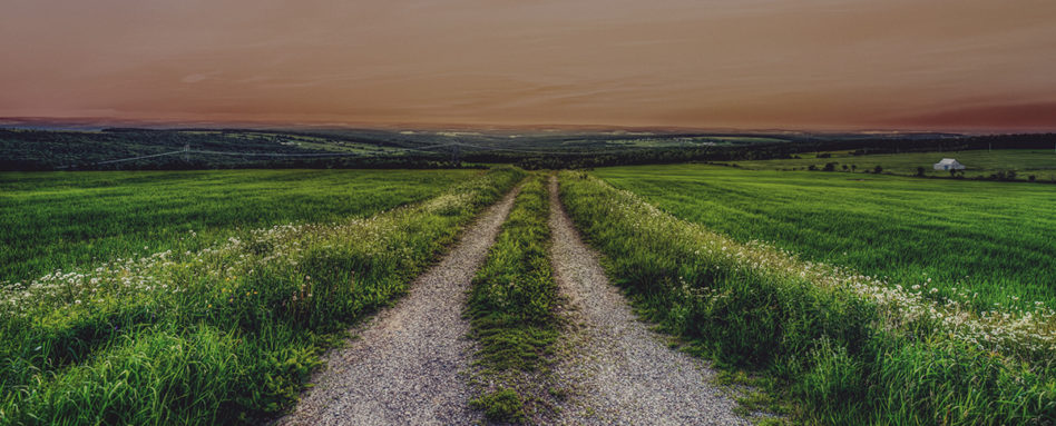 field_HERO | Trans Canada Trail
