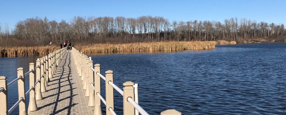 A repaired boardwalk passes over a beautiful wetland in Yorkton, Saskatchewan.