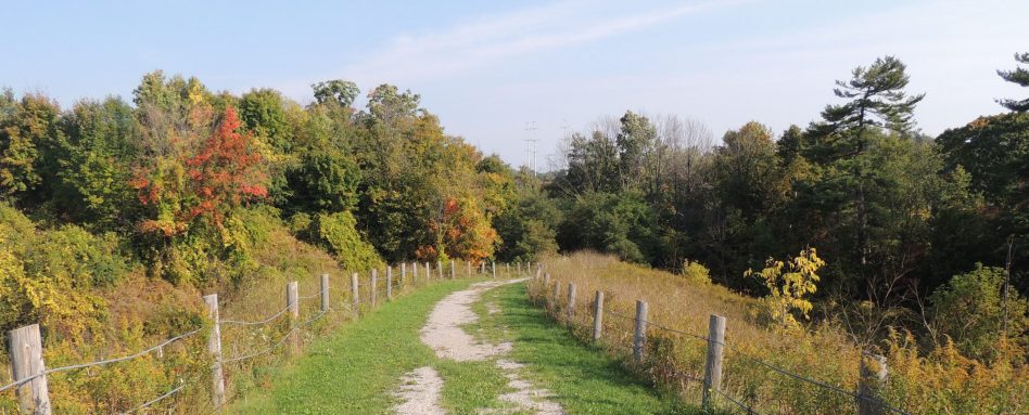 Hyde Park Trail