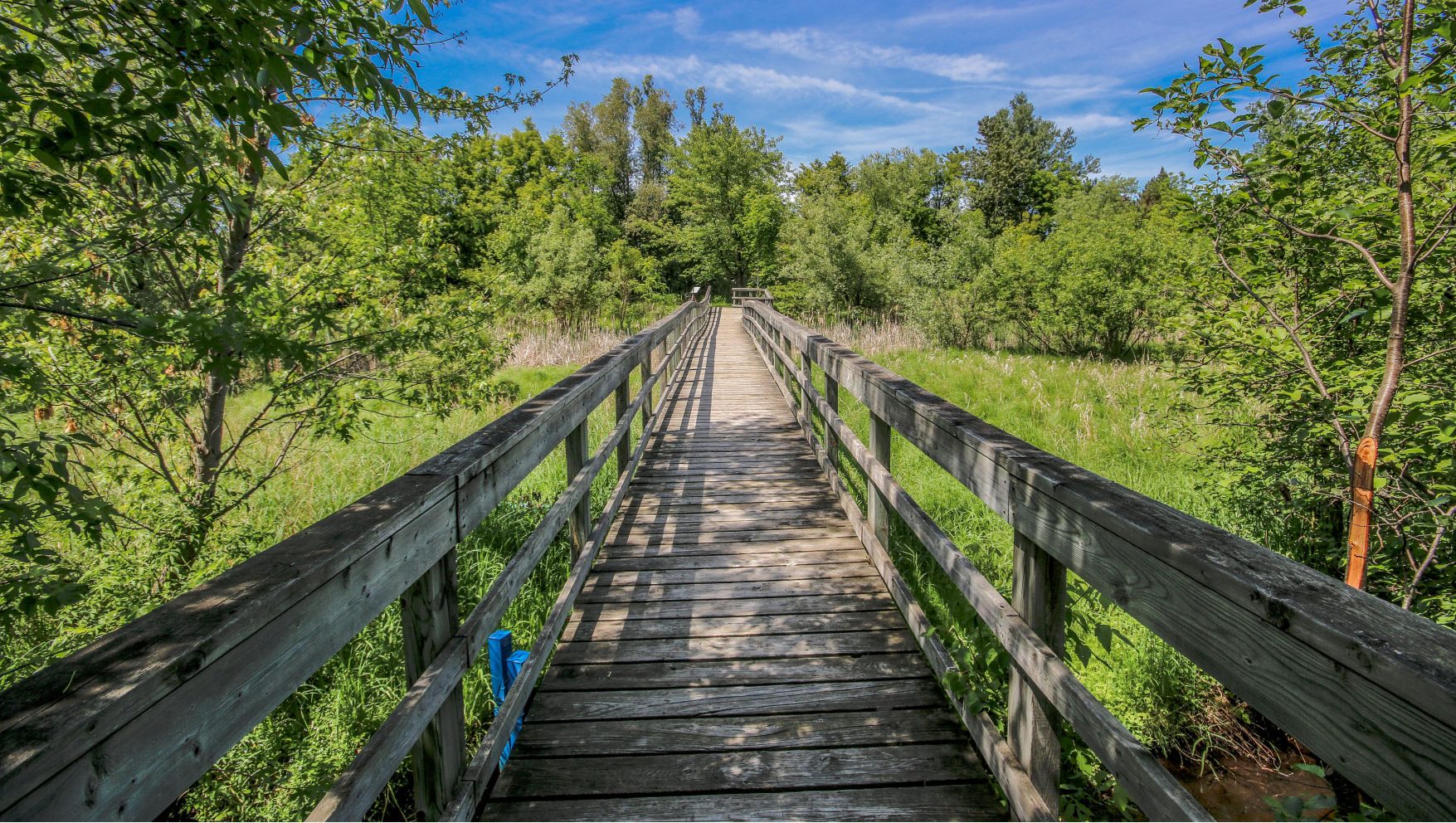 Caledon East Ontario Trans Canada Trail