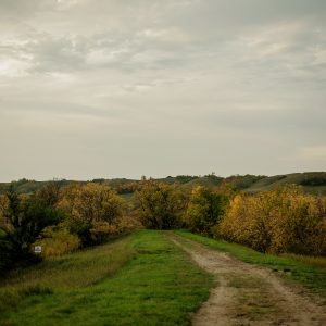 A trail runs through short grass and towards trees