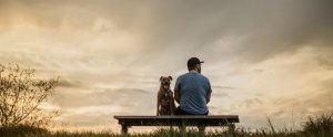 A dog sits on a bench with a man in front of a cloudy sky
