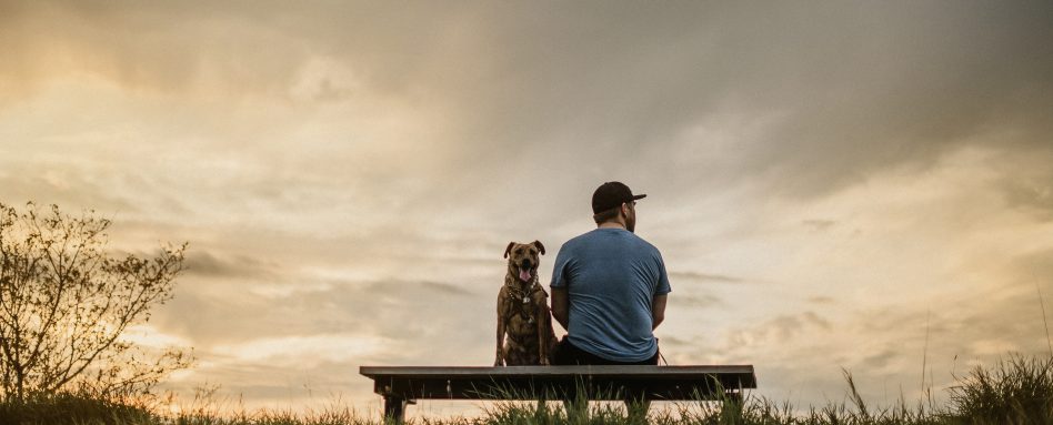 A dog sits on a bench with a man in front of a cloudy sky