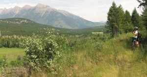 Chief Isadore Trail - Janice Strong