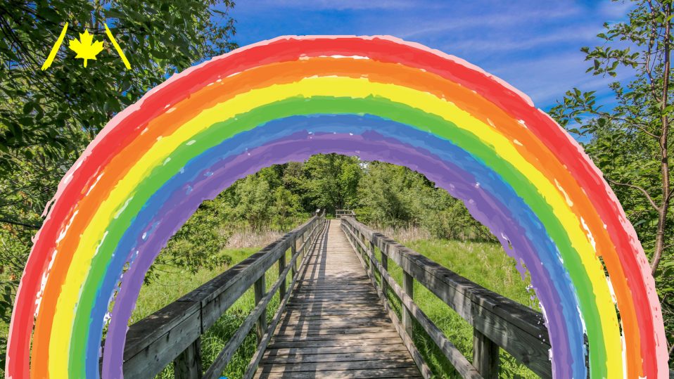 Trans Canada Trail | Zoom backgrounds