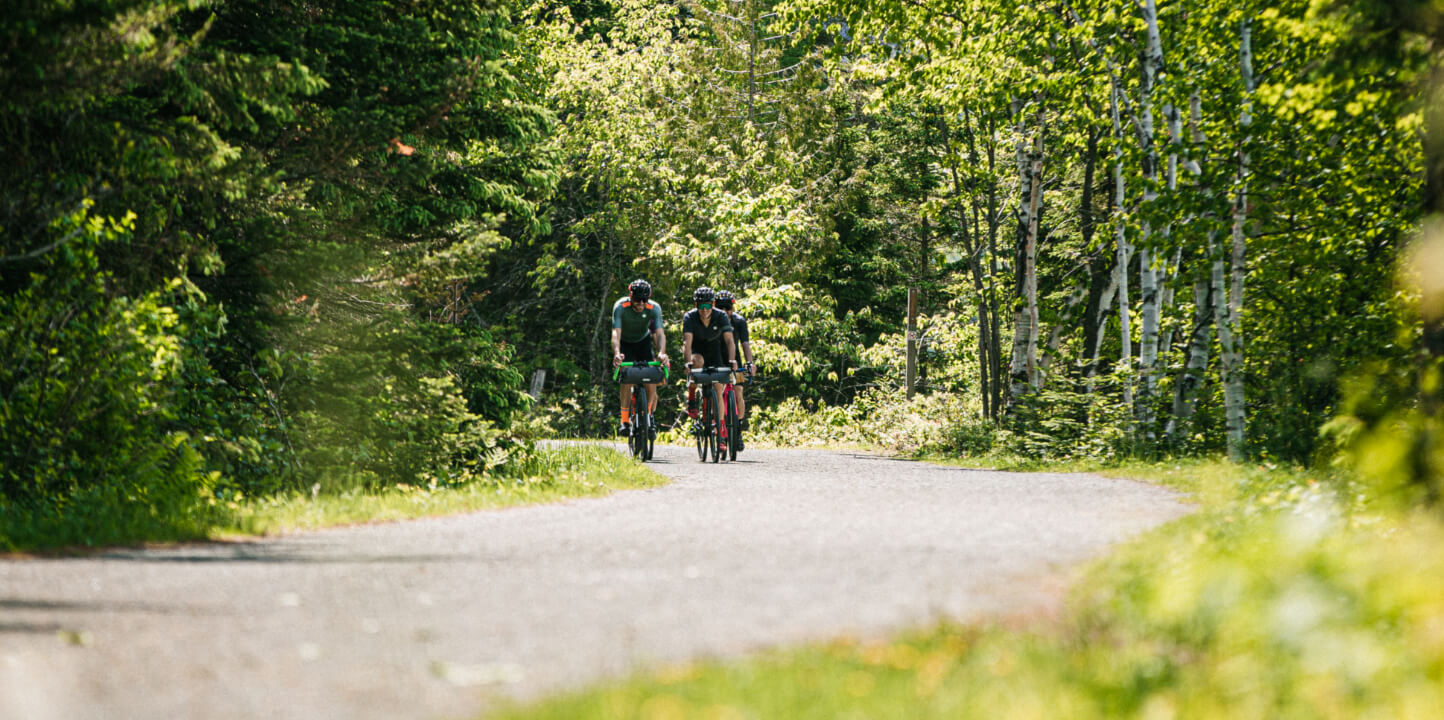 A group of three cycling down a windy forest path in the distance