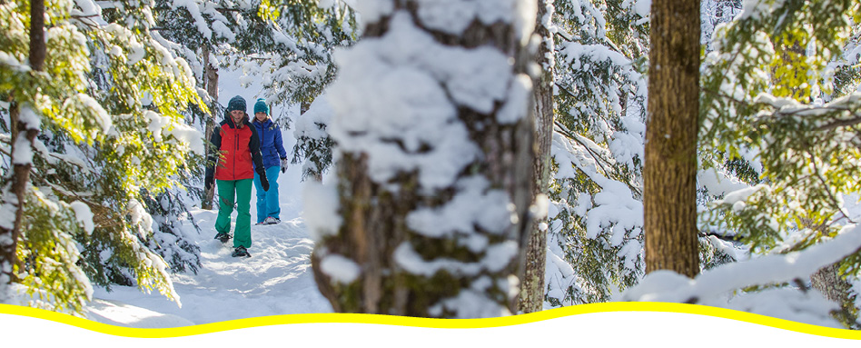 Two people snowshoeing in the winter, in a forest. Deux personnes faisant des raquettes en hiver, dans une forêt.