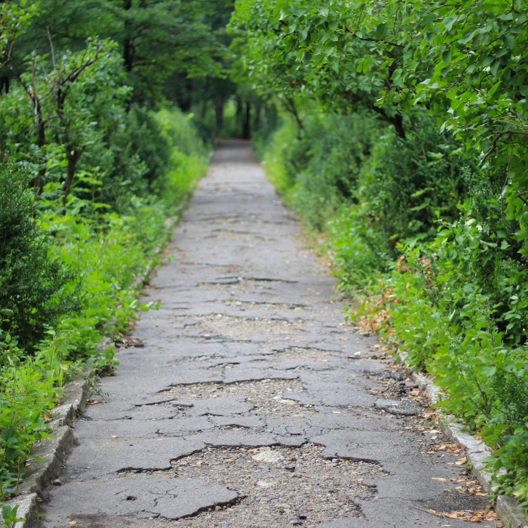Trail Infrastructure and major repairs. A trail shown that is in need of major repairs/resurfacing.