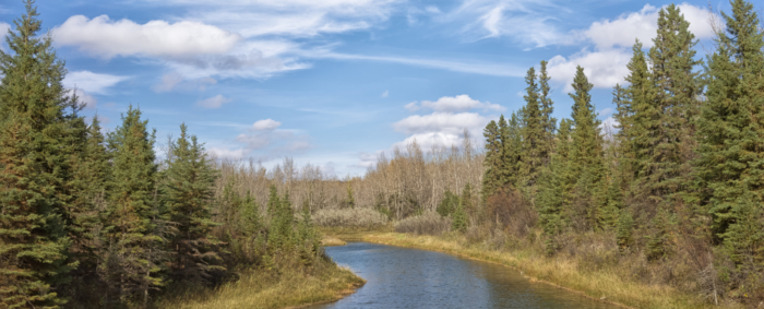 Waskasoo Park, Red Deer, Alberta