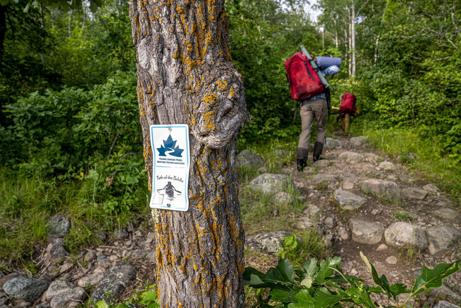 Path of the Paddle on Iinoo Oowan Trail, between Big Whiteshell Lake and Whitedog Dam