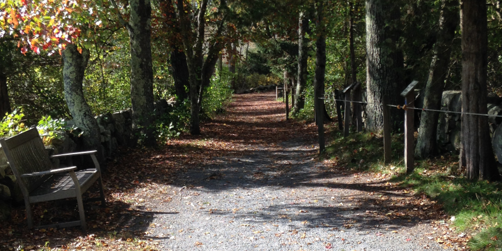 An autumn day with leaf's on the gravel trail at Stony Brook, Mass Audubon Wildlife Sanctuary