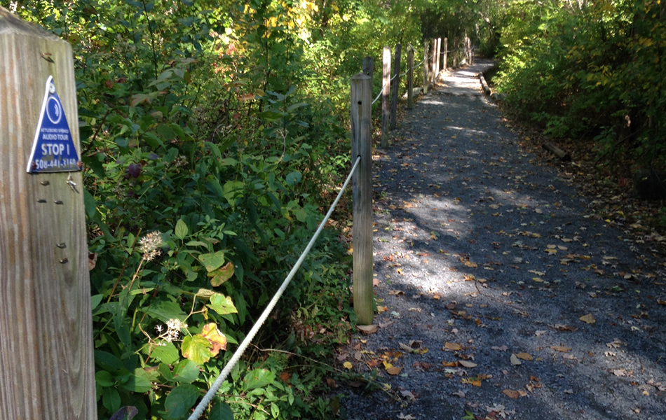A trail in Massachusetts with a guide rope along the trail. 