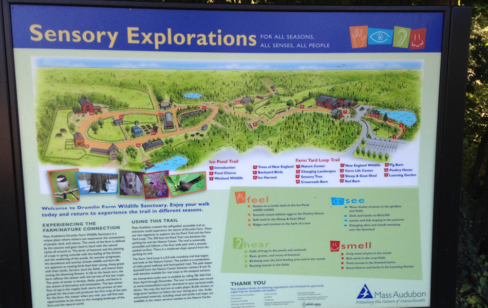 An illustrated trail map, with colour contrast, that can help visitors navigate the trail.