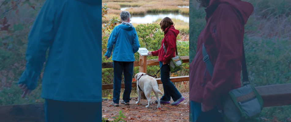 Two adults, one holding a leash with a dog standing in front of a sign with braille on the trail. 
