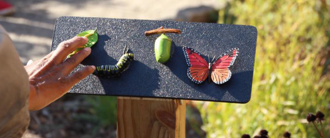 A sign with various tactile objects. These objects include a leaf, a caterpillar, a stick, an acorn, and a butterfly. 
