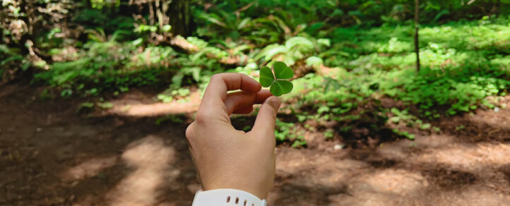 A hand holding a clover outdoors