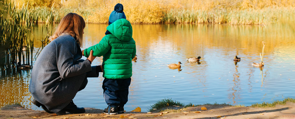 An adult and toddler crouched down at the edge of a body of water. There are three loons in the water. This is an example of Leave No Trace Principles: Respect wildlife