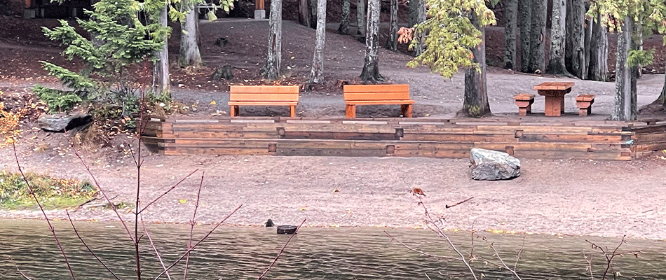 Accessible benches and picnic tables at Cottonwood Lake Regional Park