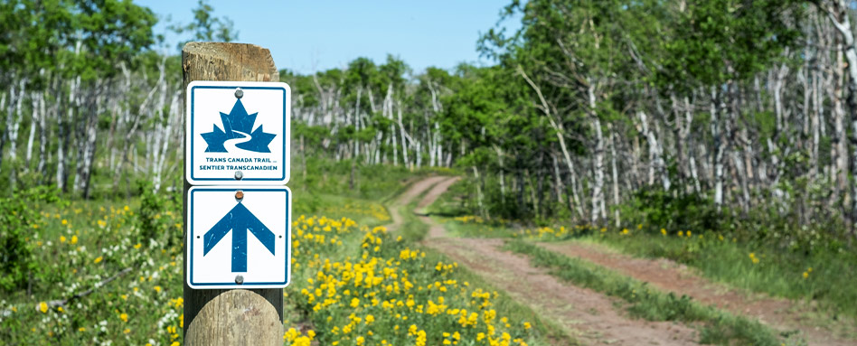 Trans Canada Trail sign on a trail