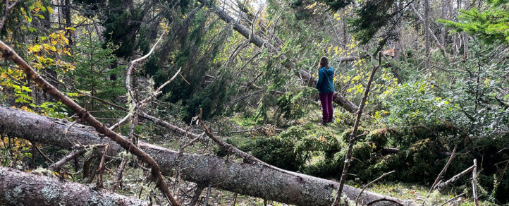 Bonnie Thornbury surrounded by fallen trees and greenery