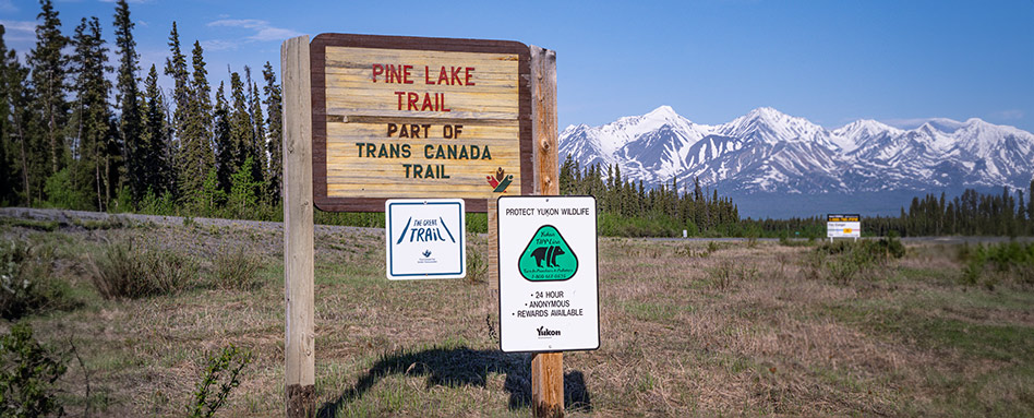 signage reads, "Pine Lake Trail Part of Trans Canada Trail"