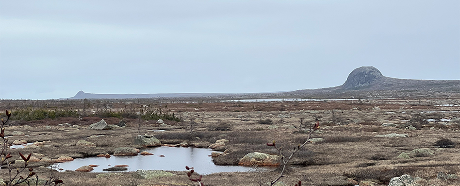 Topsails Monadnocks in Newfoundland