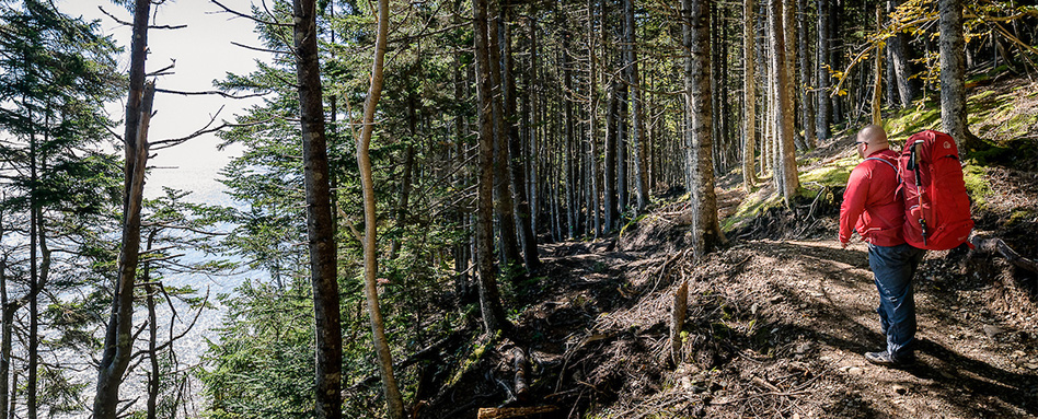 A person walking on the trail at Fundy National Park