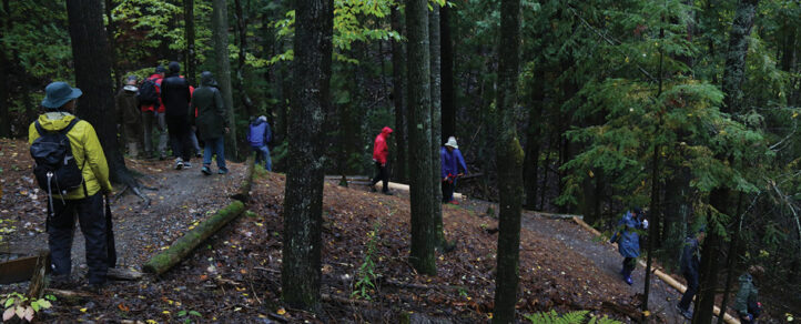 A group walking downhill on a trail