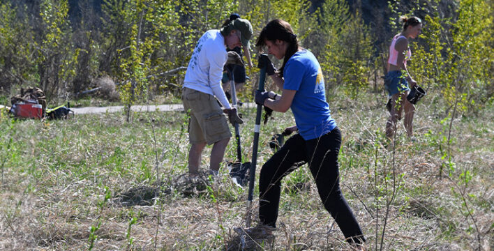 Volunteers tree planting along the Bow River at the Town of Cochrance, Alberta Trail Care Event
