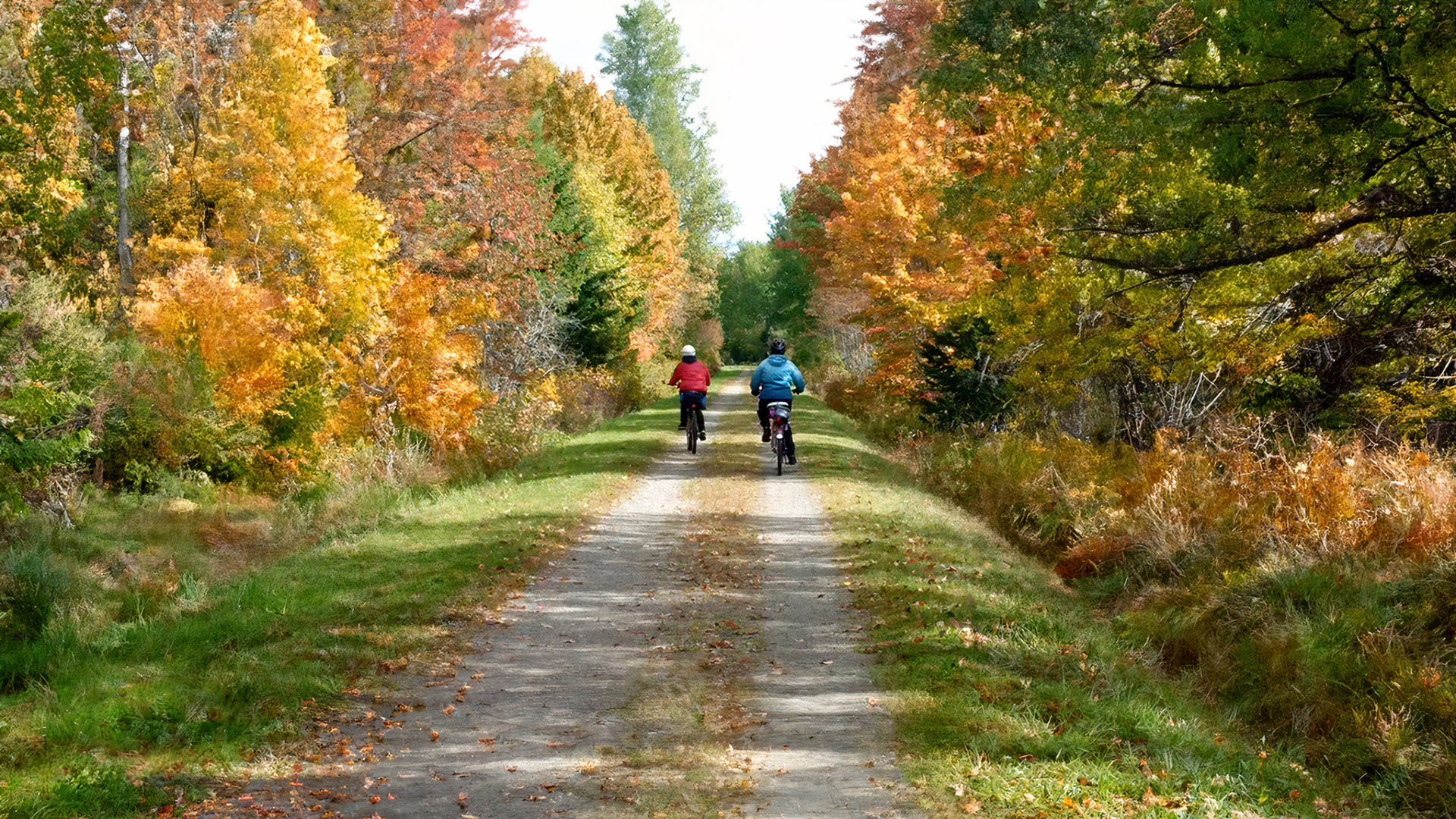 two adults riding their bikes down the Confederation trail 