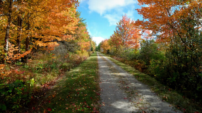 Confederation trail on a autumn day