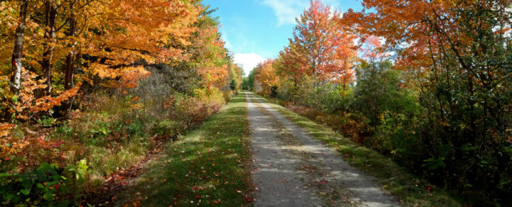 Confederation trail on a autumn day