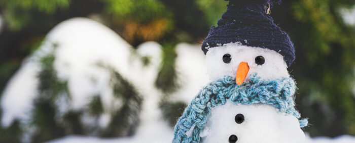 Close up of a snowman with button eyes, a carrot nose, wearing a winter hat and scarf. Gros plan d'un bonhomme de neige avec des yeux en boutons, un nez en carotte, portant un chapeau et une écharpe d'hiver.