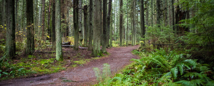 Shubienacadie Trail