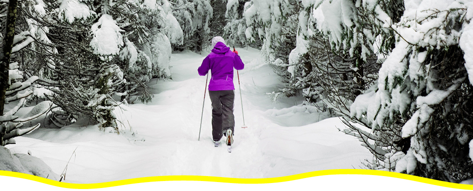 Person cross-country skiing on a trail in the winter. Personne faisant du ski de fond sur une piste en hiver. 