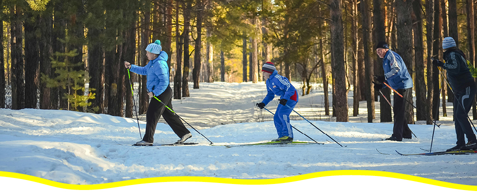 Group of people cross-country skiing on a Trail in the winter. Groupe de personnes faisant du ski de fond sur une piste en hiver.