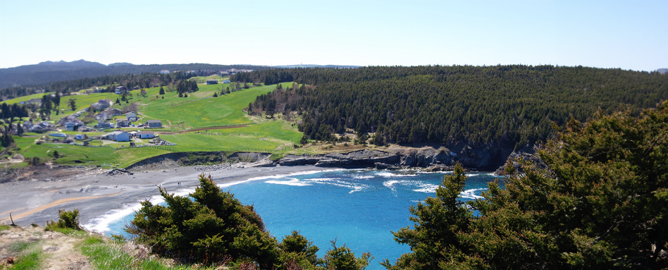 An overview of Middle Cove Beach