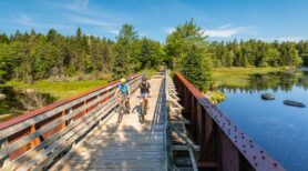 Two people cycle across a wooden bridge spanning a small body of water.