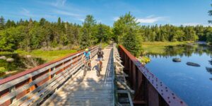 Two people cycle across a wooden bridge spanning a small body of water.