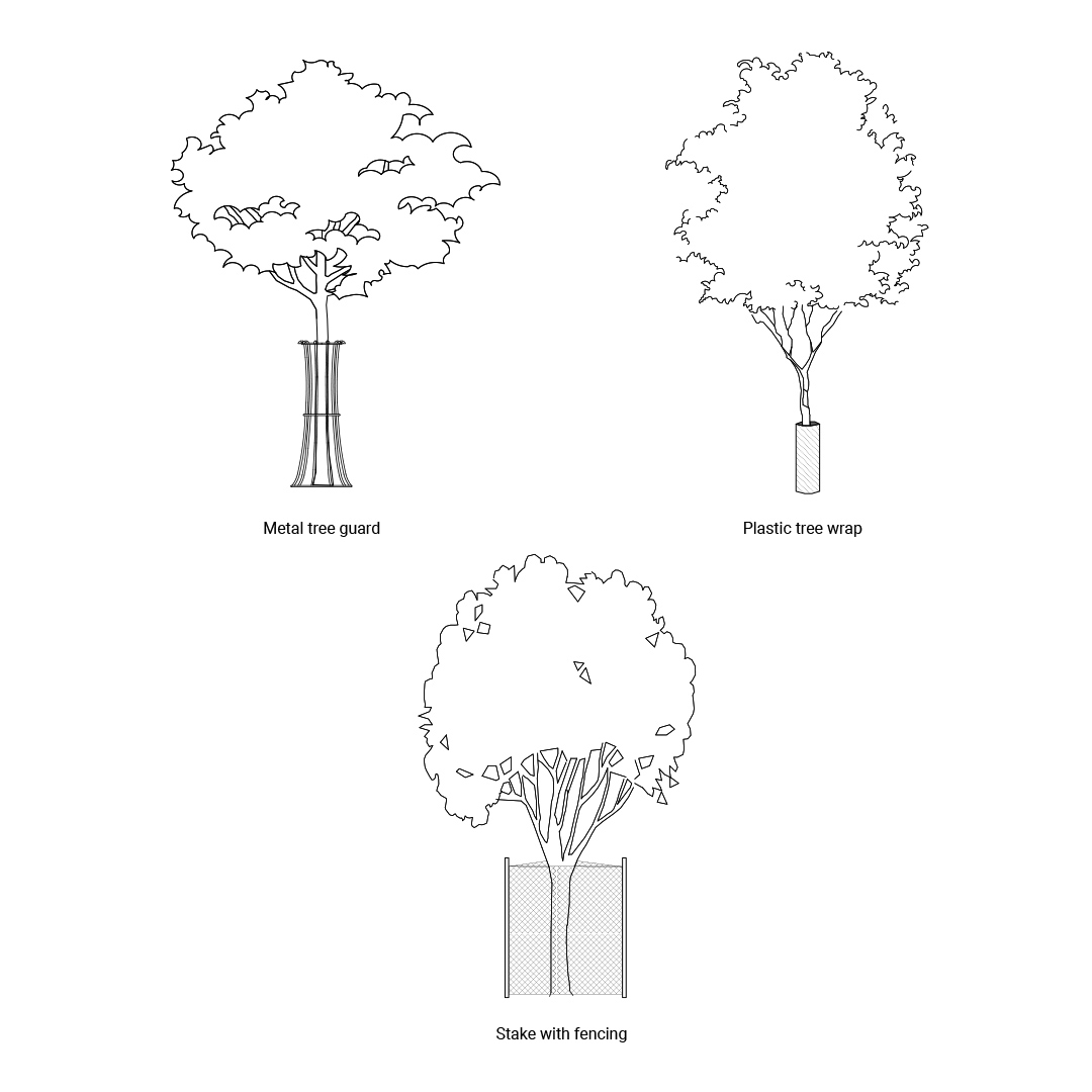 Trunk Protection Illustration 
