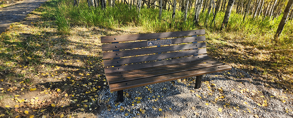 A serene wooden bench nestled among trees in a peaceful forest setting. | Un banc en bois serein niché parmi les arbres dans un cadre forestier paisible.