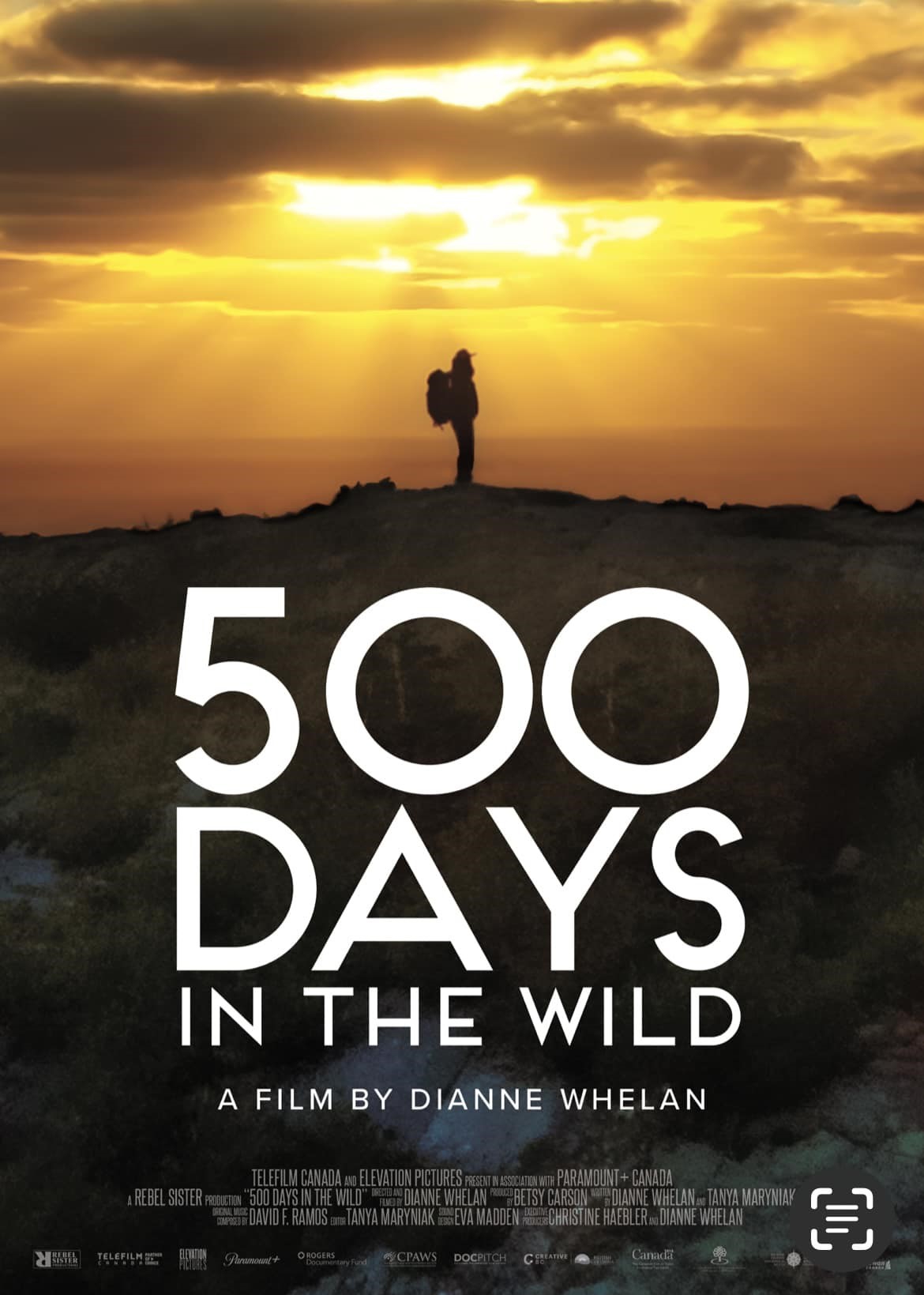 500 Days of Summer In The Wild movie poster