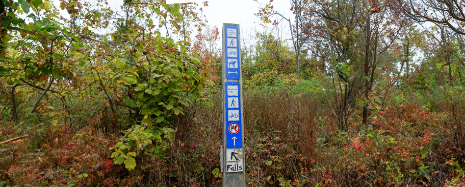 A blue Trans Canada Trail sign, set against a backdrop of trees. | Un panneau bleu du Sentier Transcanadien, sur fond d'arbres.