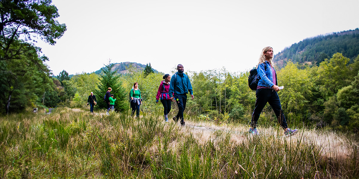 A gathering of hikers traversing a scenic woodland path. Un rassemblement de randonneurs traversant un sentier boisé pittoresque