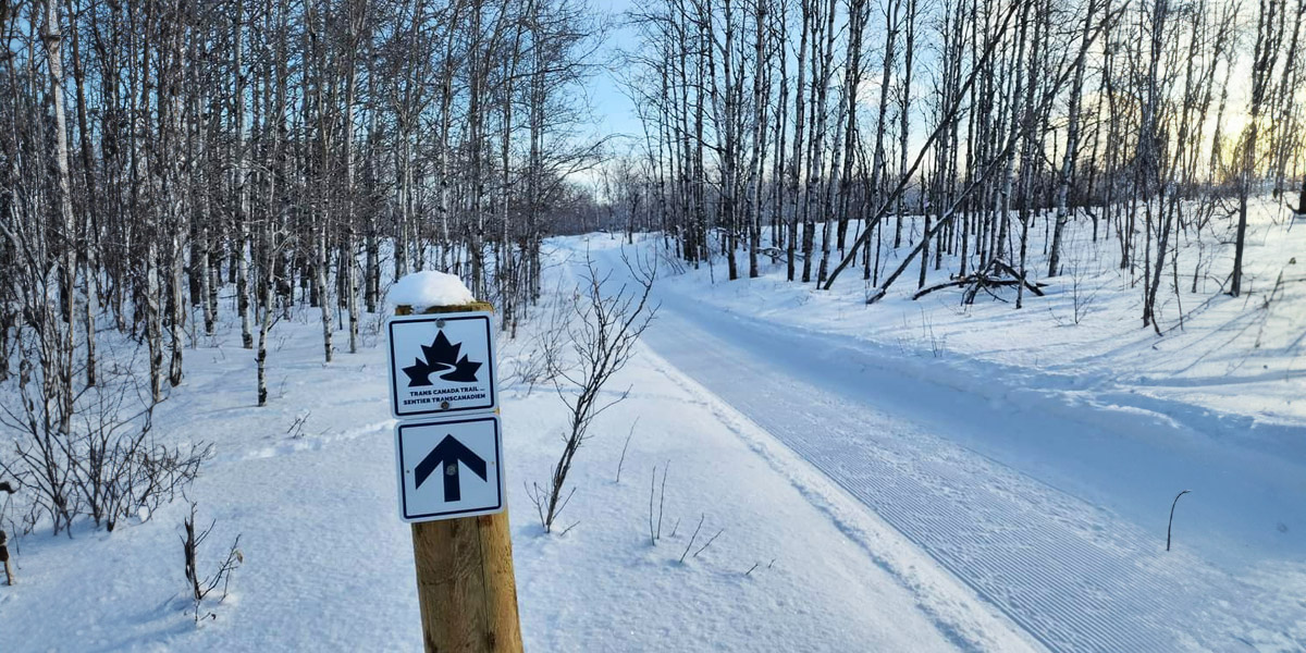 Sign indicating Trans Canada Trail to the right on snowy path. Panneau indiquant le sentier Transcanadien à droite sur un chemin enneigé.