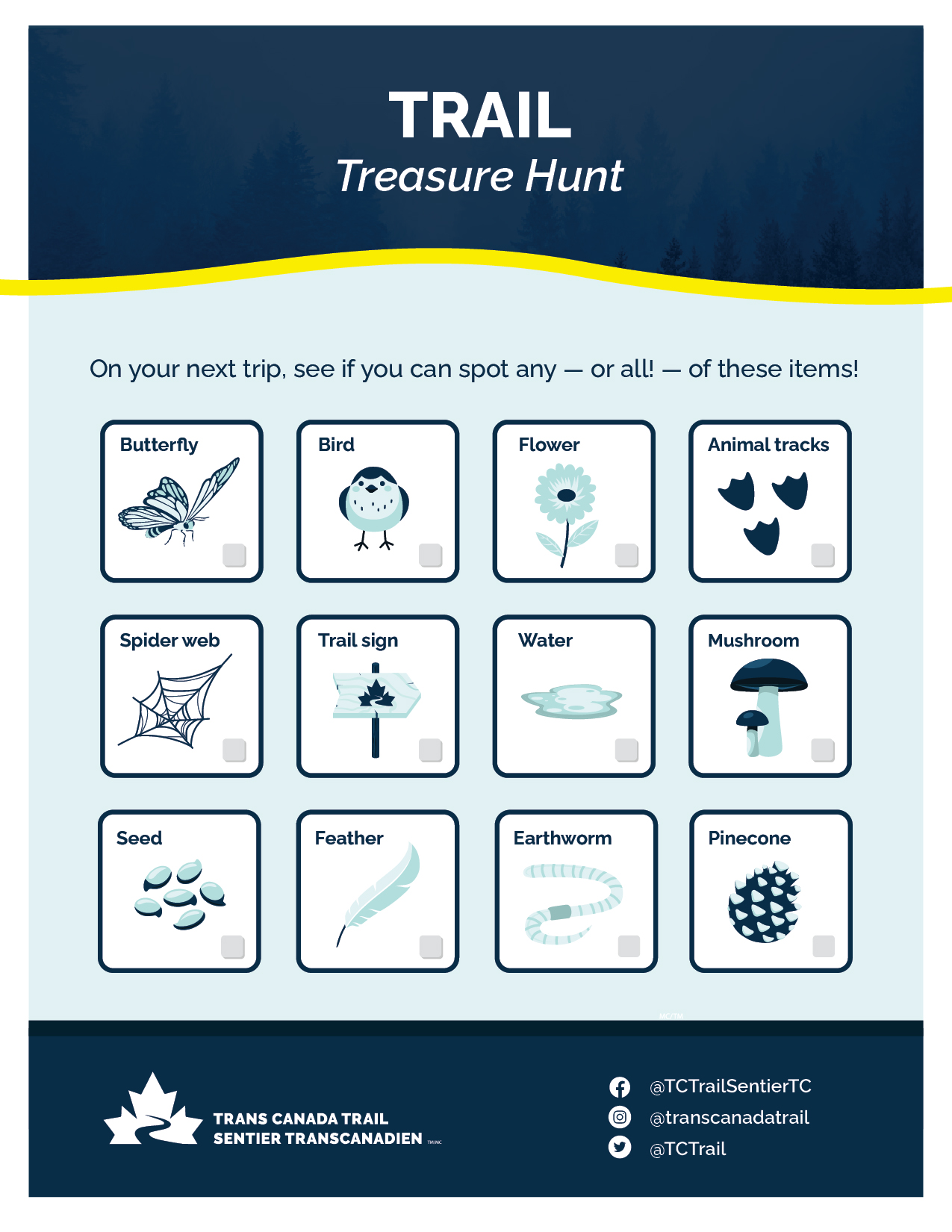 Treasure hunt graphic 