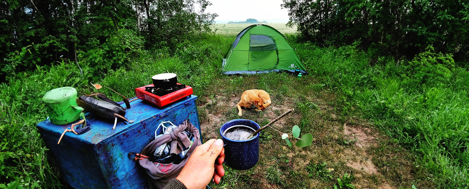A person with a cup of coffee and a dog in the peaceful woods. une personne avec une tasse de café et un chien dans les bois paisibles.