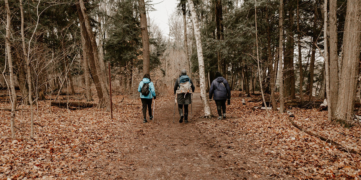 Three individuals walking along a wooded trail. Trois personnes se promenant sur un sentier boisé.